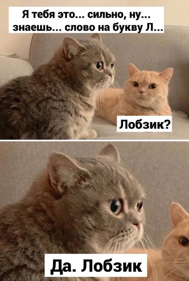 Деревенская Америка - 10