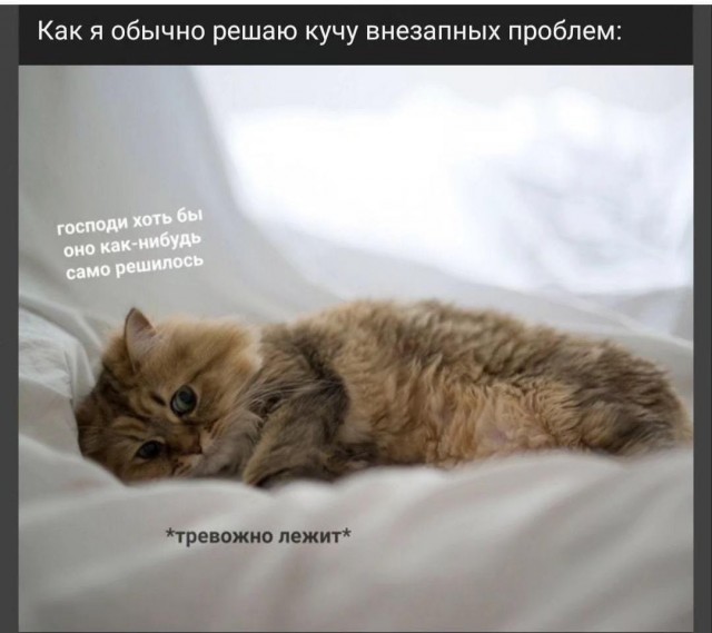 Мемчики и картинки для настроения и подумать