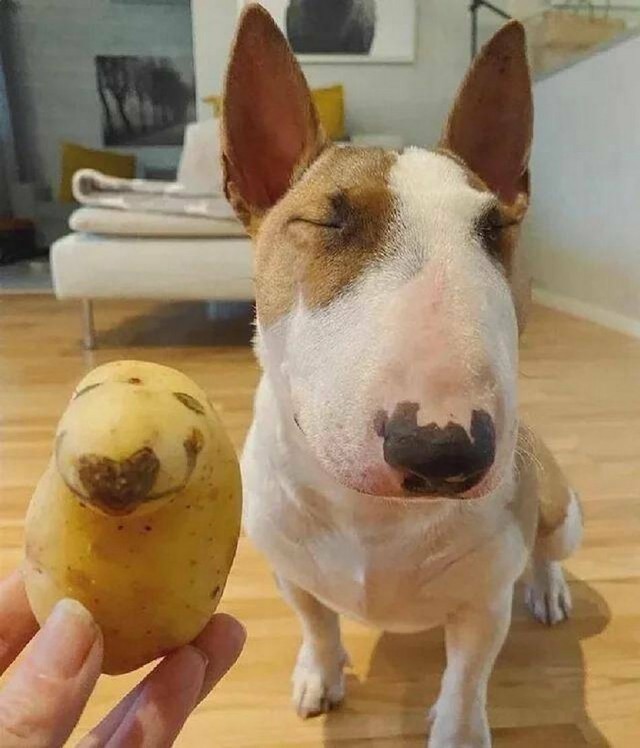 ФотоВинегрет