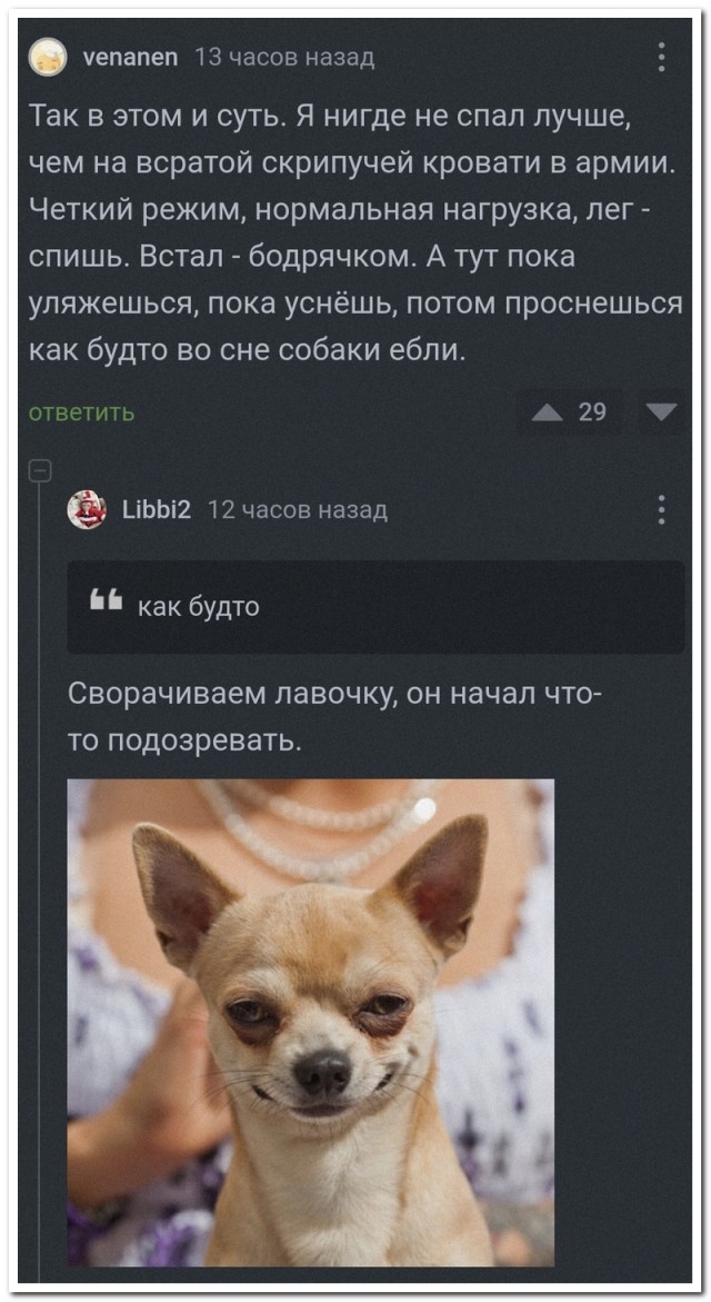 Забавные комментарии из социальных сетей (28.05.24)