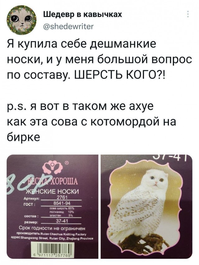19247506.jpg