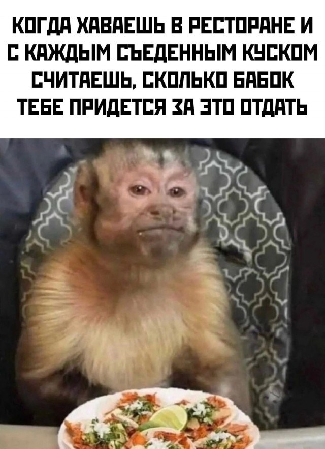 Околокулинарные картинки