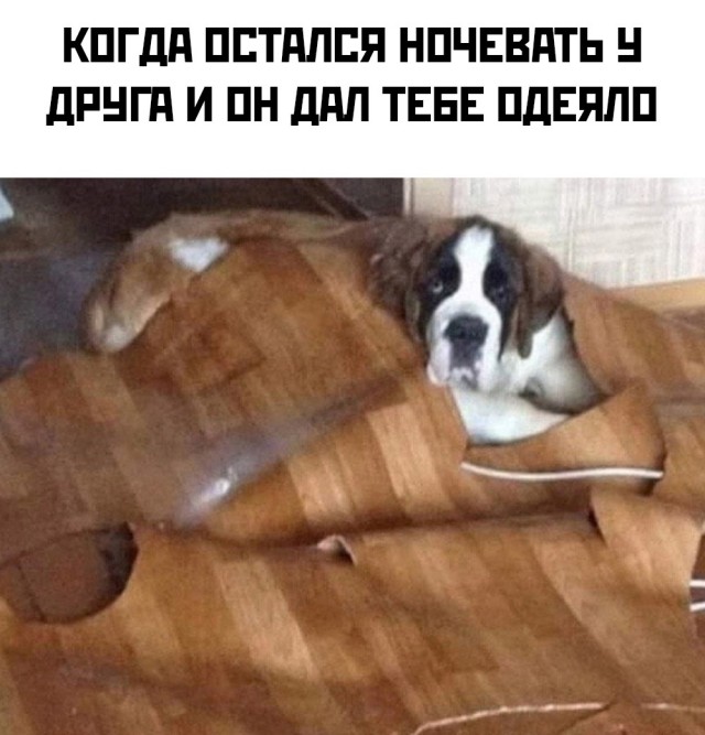 Так себе картинки 03.12.24