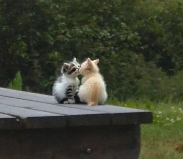 Весна ,однако