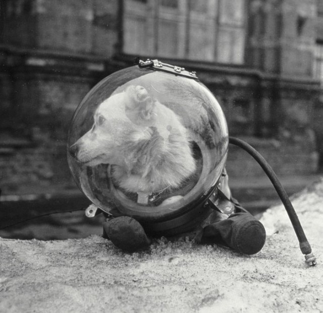 ​ Фотографии из прошлого нашей страны – 101