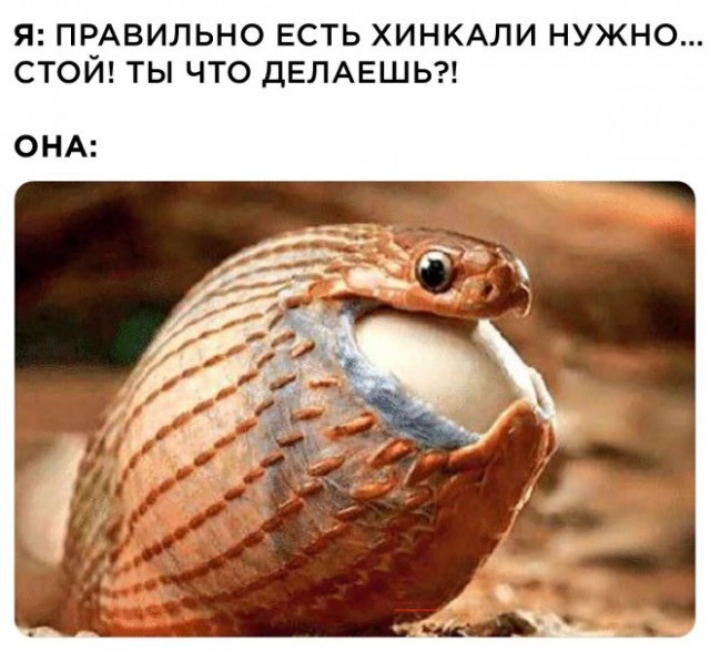 Веселые картинки в маленькую пятницу (09.04)