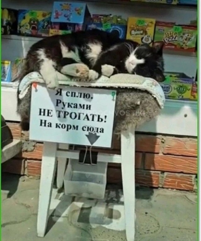 Так себе картинки 13.08.25