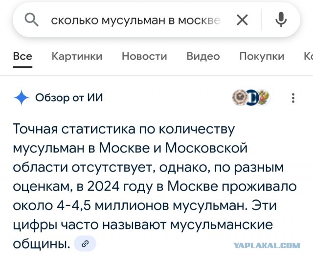 Россиян призывают не бояться ехать к талибам в Афганистан