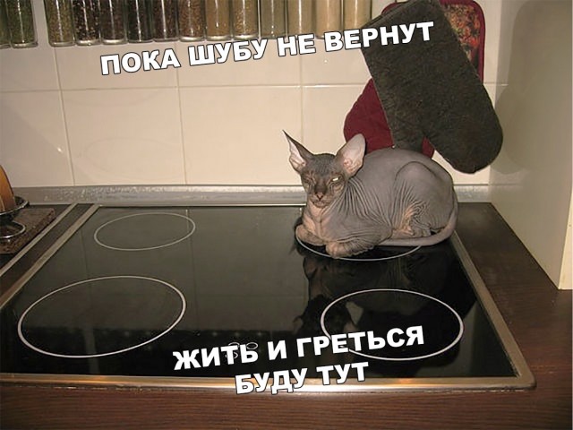 Картинки , вторник 14-е
