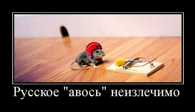 В поисках волшебной щуки