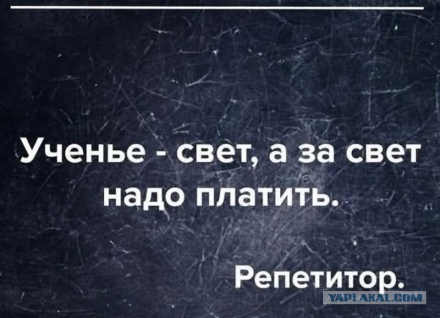 Веселые картинки в понедельник (15.12)