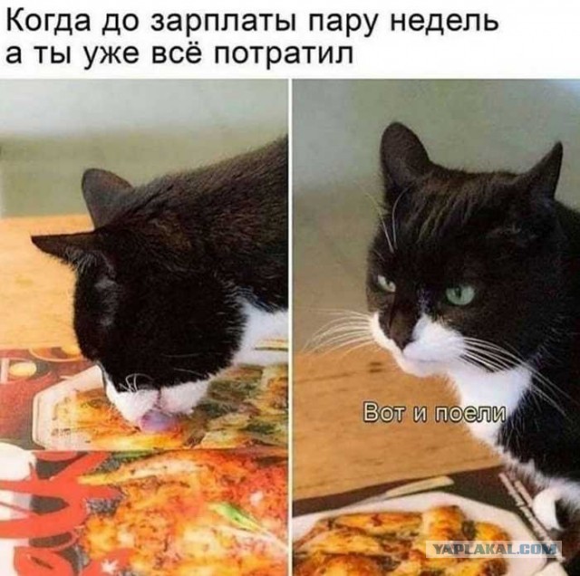 Кто-то остался без обеда