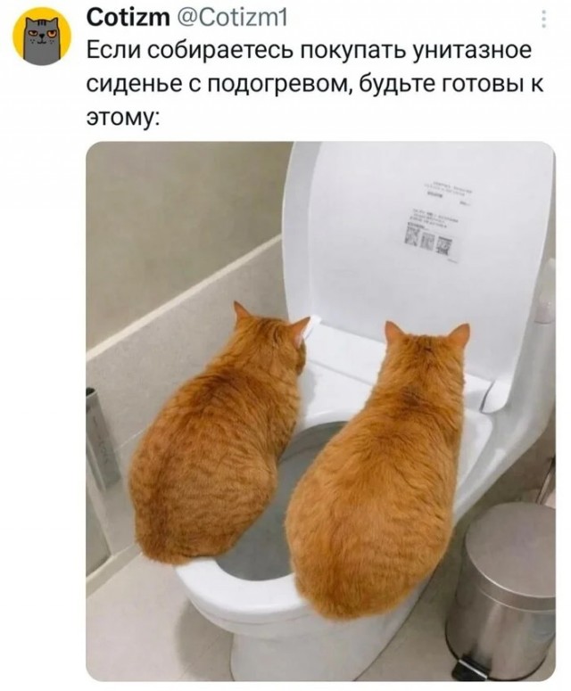 Вторника картинки