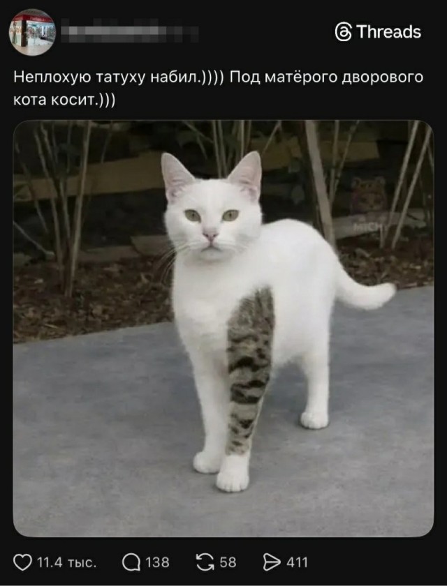 Вторника картинки