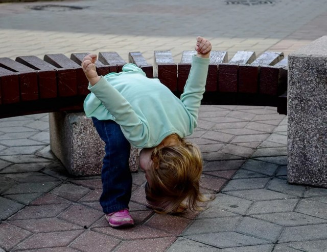 Веселая коза