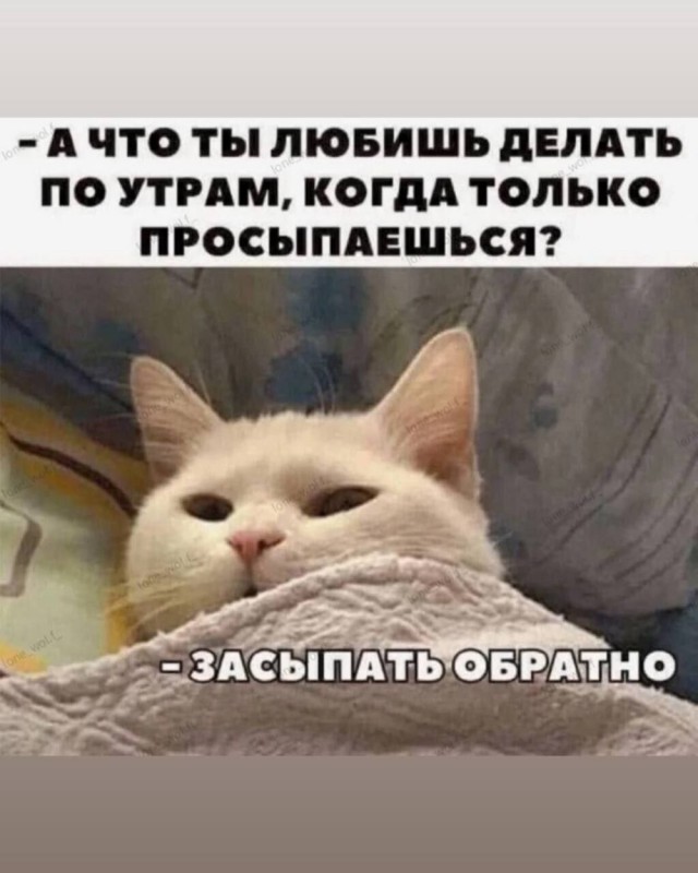 Понедельника картинки