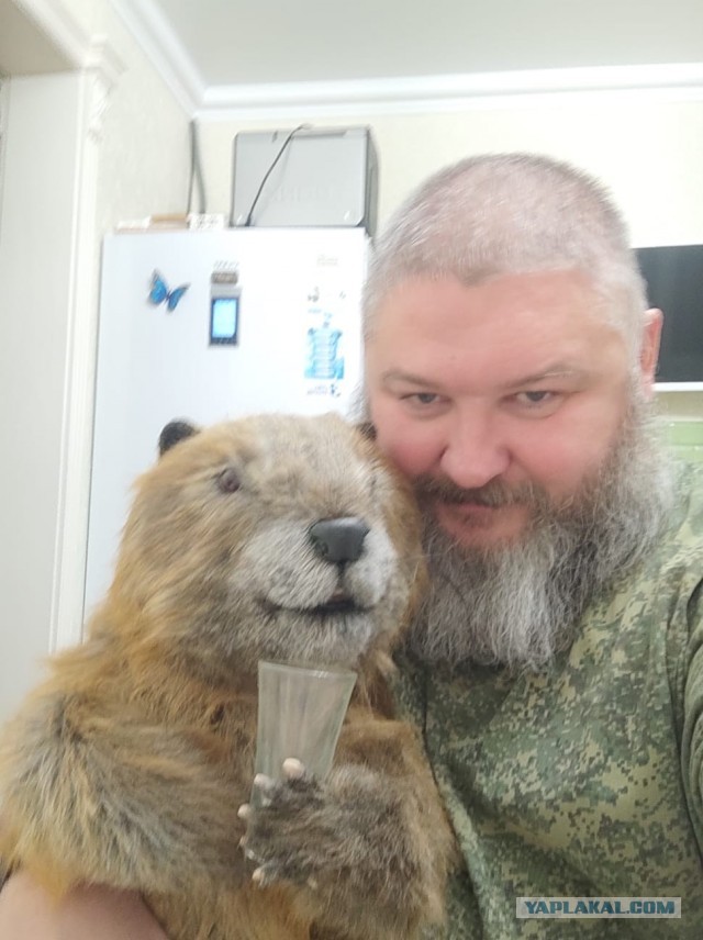 Компанейский бобер