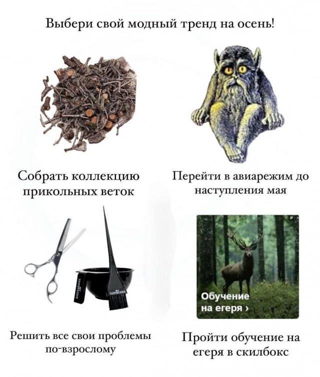 Психомемы-5