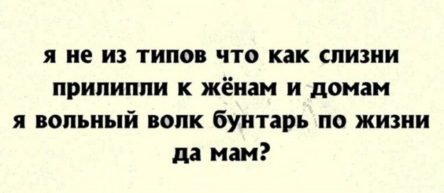 Плюшевый мотобайкер