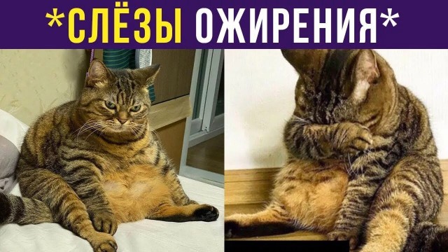 Несчастный случай