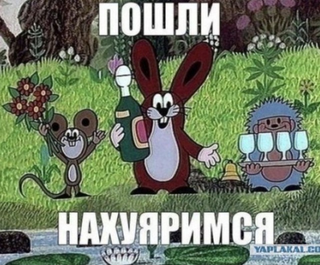 Сейчас бы поваляться на траве