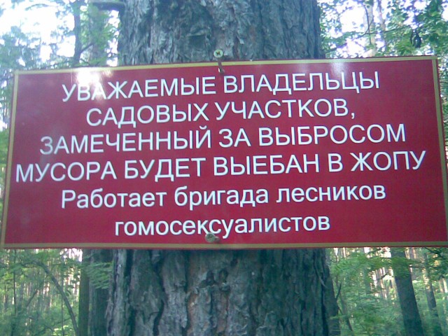Перестанут ли люди мусорить, если вокруг будет идеально чисто, решила проверить маркетолог из Ухты