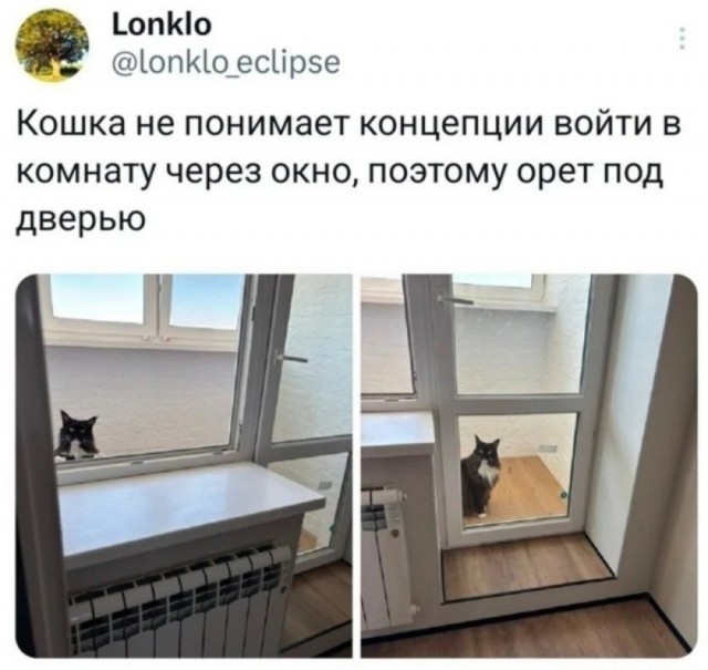 Так себе картинки 01.09.26