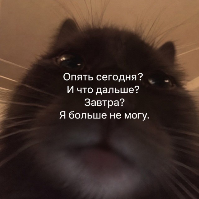 Картинки для деградации 288 (разной степени свежести)