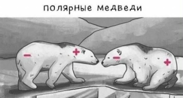 Картинки для деградации 301 (разной степени свежести)