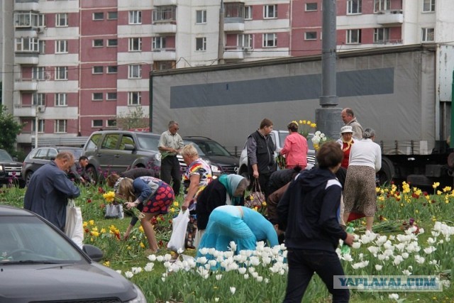 Люди сволочи!