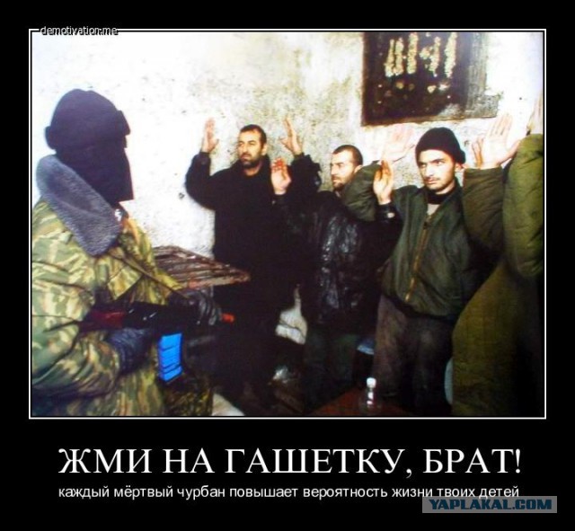 Мысли культурного кавказца. Что скажете?