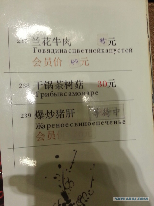 Почему русские не понимают иностранцев
