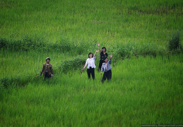КНДР приоткрыла экспортные ворота для РФ