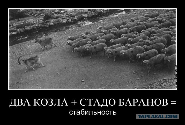 Драка в Киеве. Милиция бьет онижедетей
