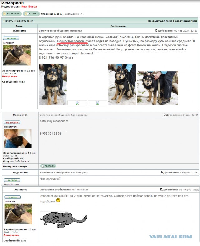 За что нас так?