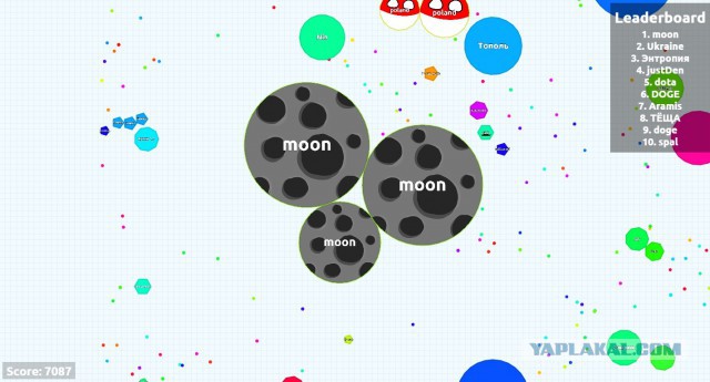 Симулятор жизни: agar.io