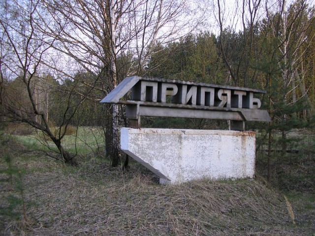 Лимончик вырос