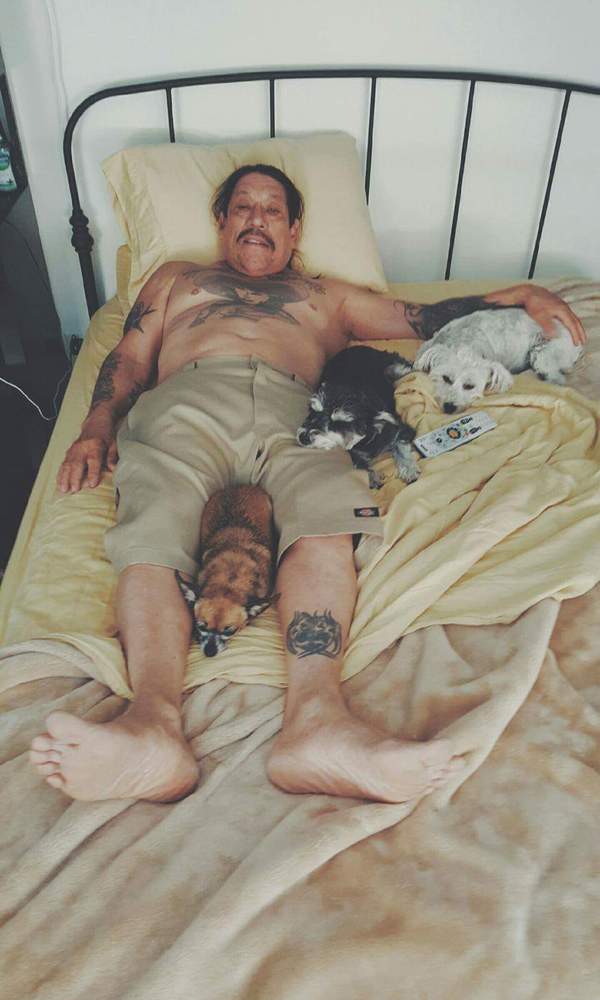 Мачете развлекается с какими-то сучками.