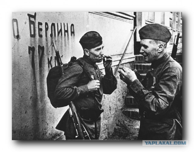 Оставьте нам право убивать себя самих