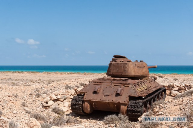 Танки поглощенные природой. Всё проходит...