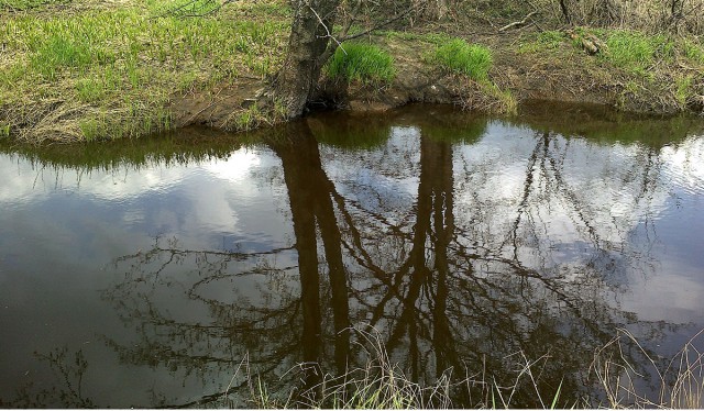 Я узнал, что у меня есть огромная семья
