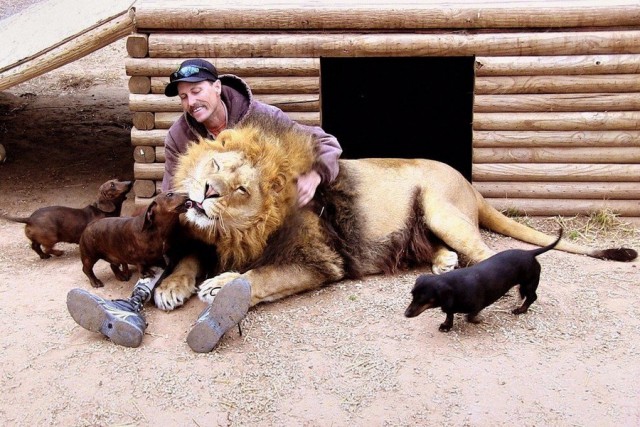 Подборка интересных и веселых картинок