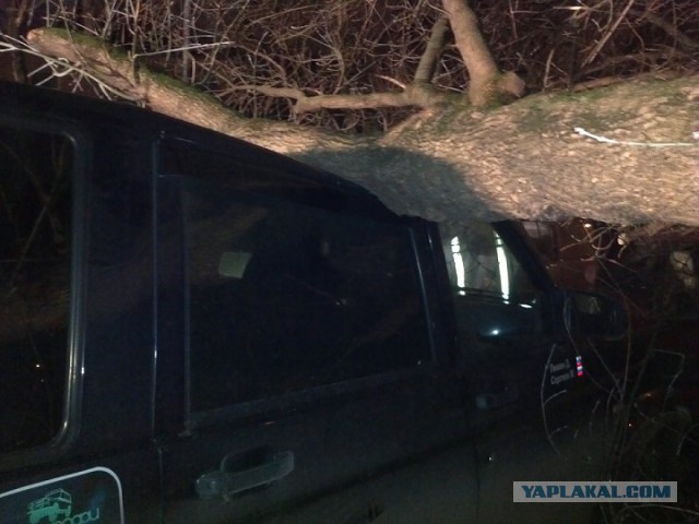 Утро началось не с кофе, или повезло так повезло!