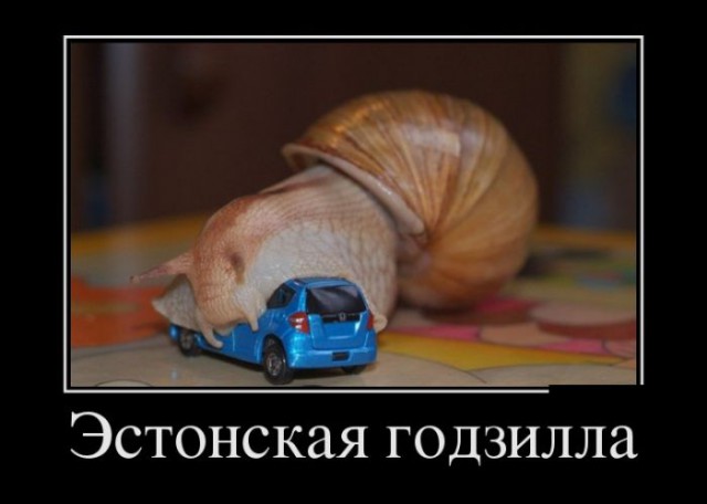 Картинки в черных рамках