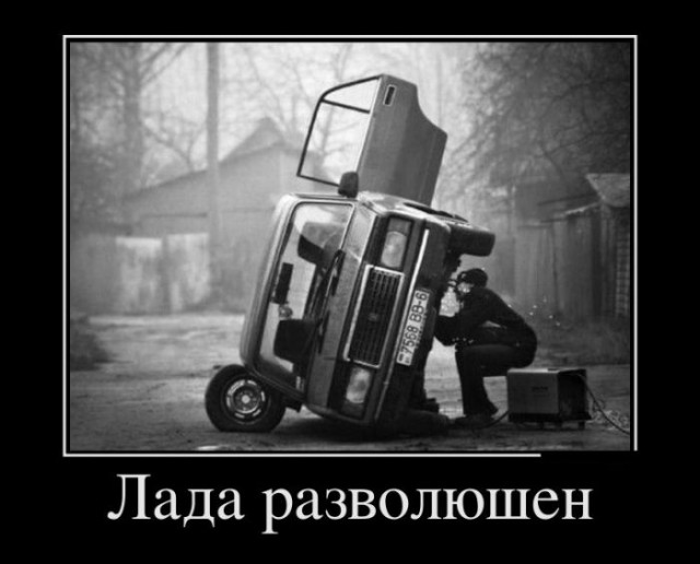 Весёлые картинки 30.11.2016