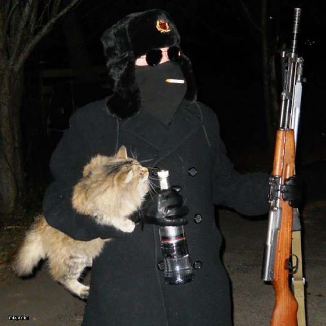 Картинки с сети