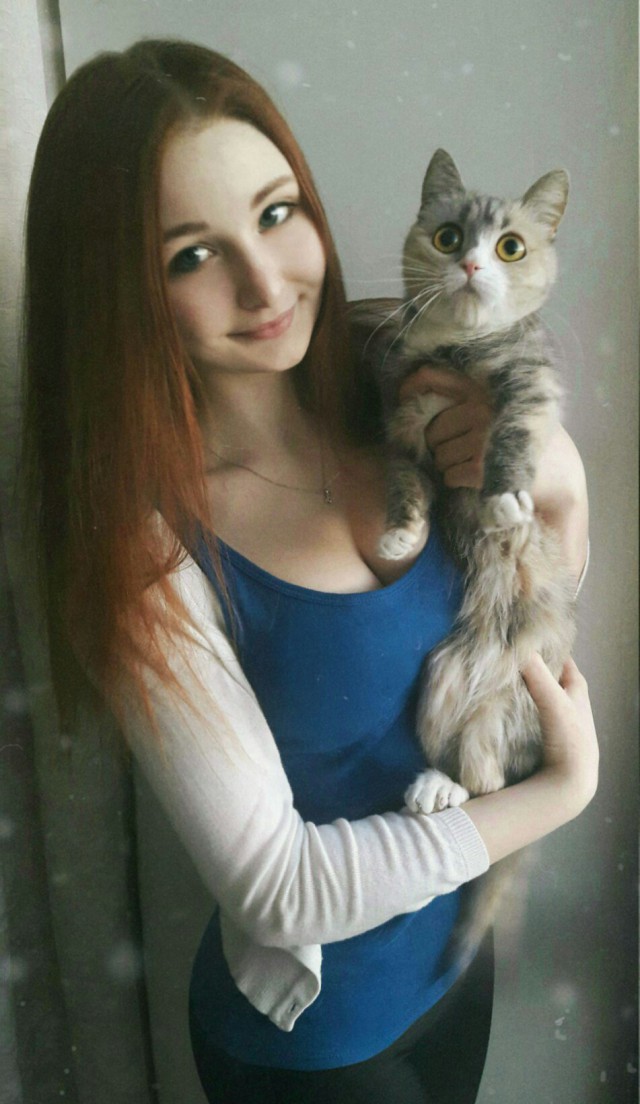 Котовторник 28.02.2017
