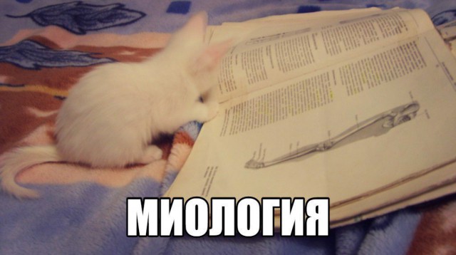 Деградация по-медицински