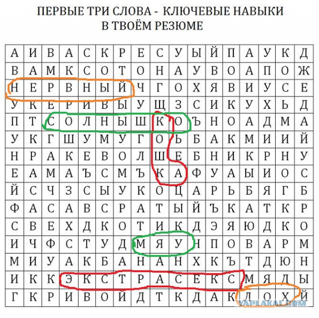Твое резюме