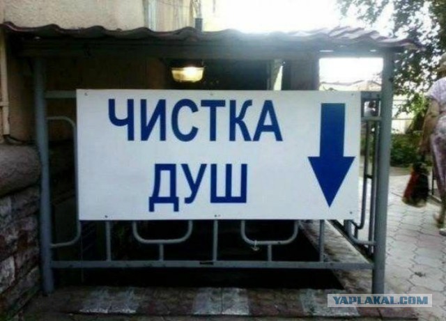 Чуток картинок 09.06.19